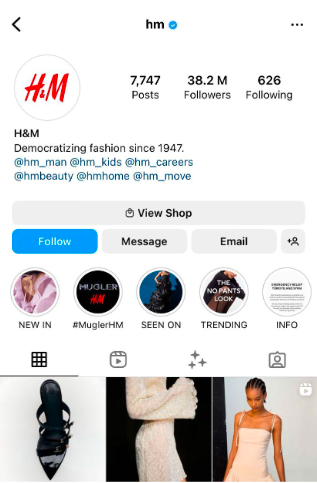 The bio consists of a brief description about the user or brand, along with relevant hashtags and a link. The profile picture, username, and follower count are not visible in the image.