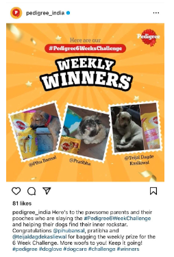 Reposting your followers' posts on Instagram helps to understand your community and connection with your audience. it can be the best way to promote your product on instagram.